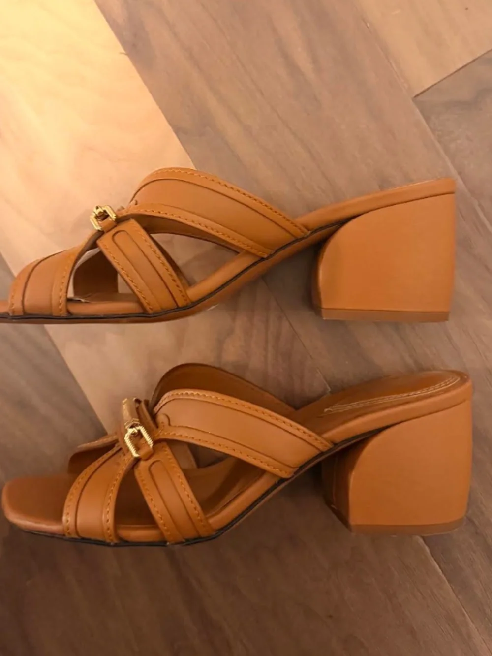 Zimmermann Prisma Brown Mules (65mm), size 39